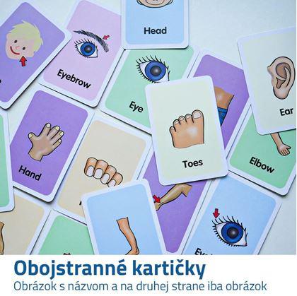 Obrázok z Výukové kartičky - časti tela