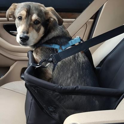 Obrázok Autosedadlo pre maznáčikov