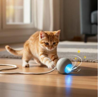 Obrázok Nabíjacia pohyblivá loptička pre zvieratá